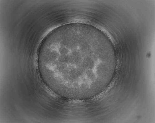 X0000116861019201001121236