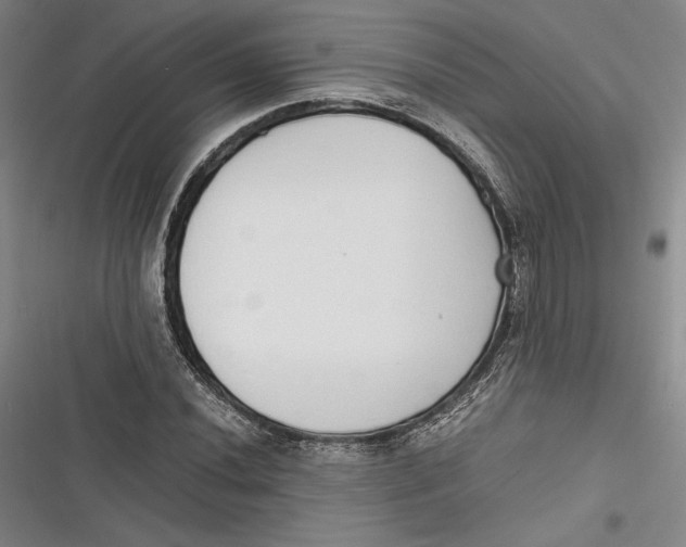 X0000116861020201001121236