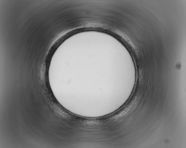 X0000116861021201001121236