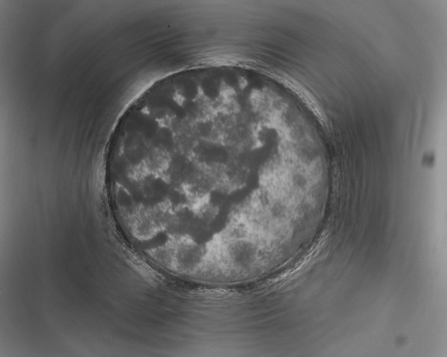 X0000116861023201001121236