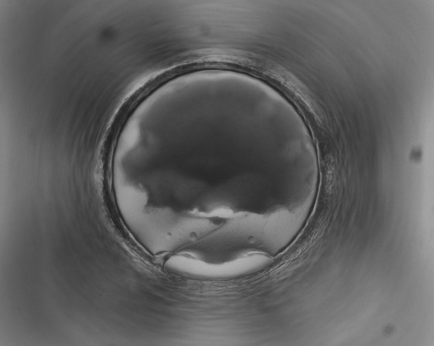 X0000116861024201001121236