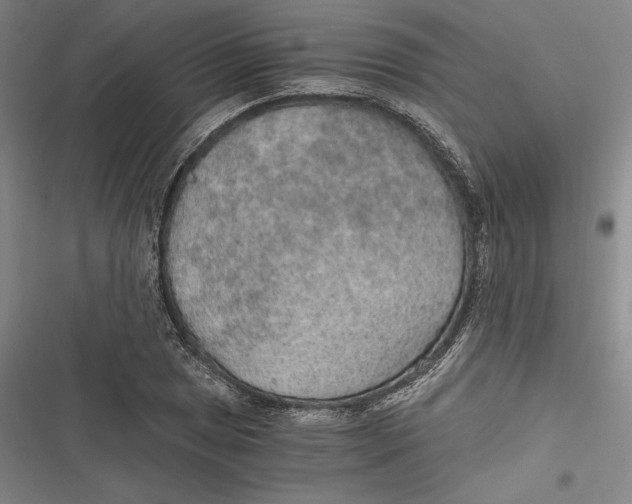 X0000116861025201001121236