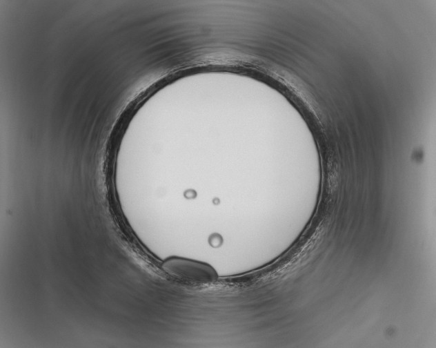 X0000116861026201001121236