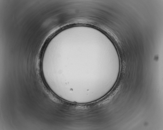 X0000116861029201001121236