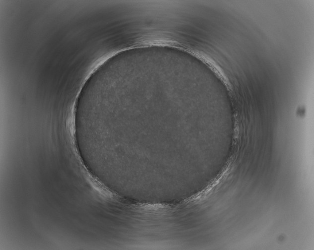 X0000116861031201001121236