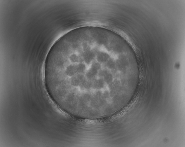 X0000116861032201001121236