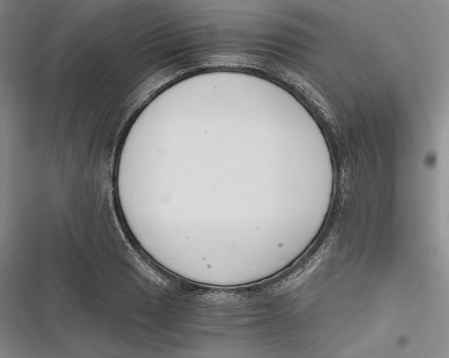 X0000116861033201001121236