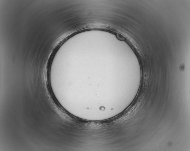 X0000116861034201001121236