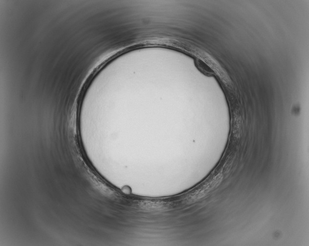 X0000116861036201001121236