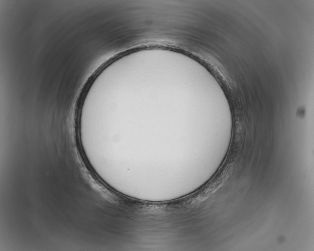 X0000116861038201001121236