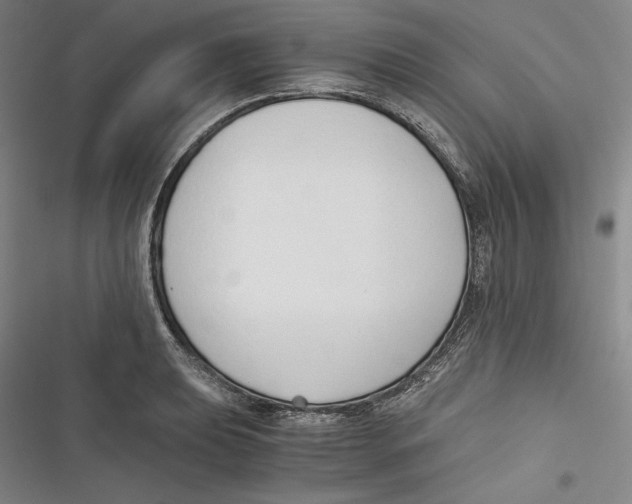 X0000116861039201001121236