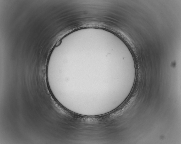 X0000116861041201001121236