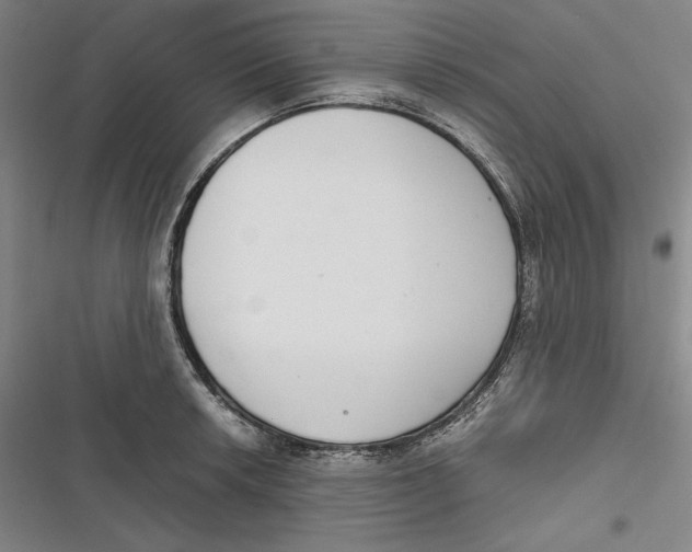 X0000116861042201001121236