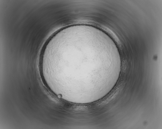 X0000116861043201001121236