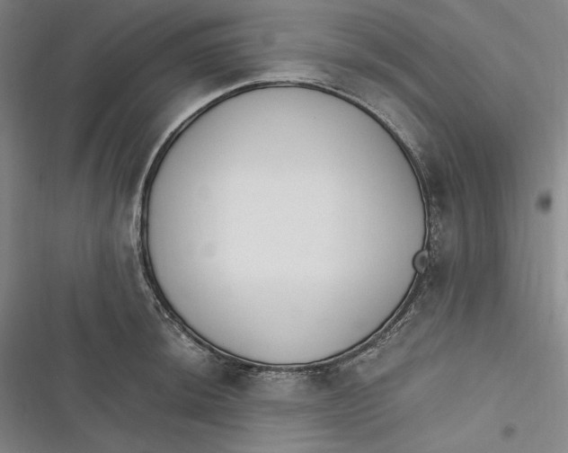 X0000116861044201001121236