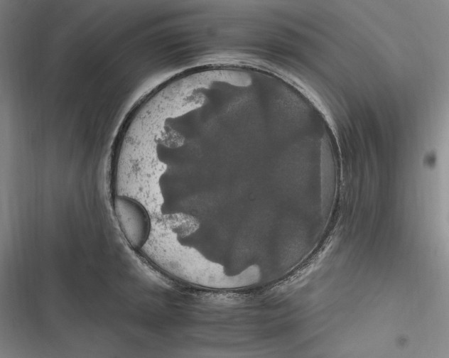 X0000116861045201001121236