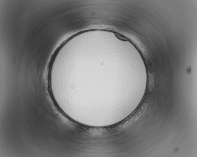 X0000116861046201001121236