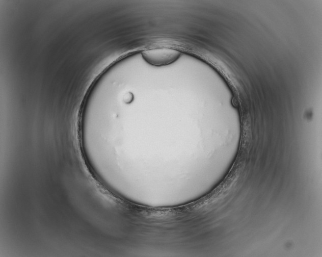 X0000116861047201001121237