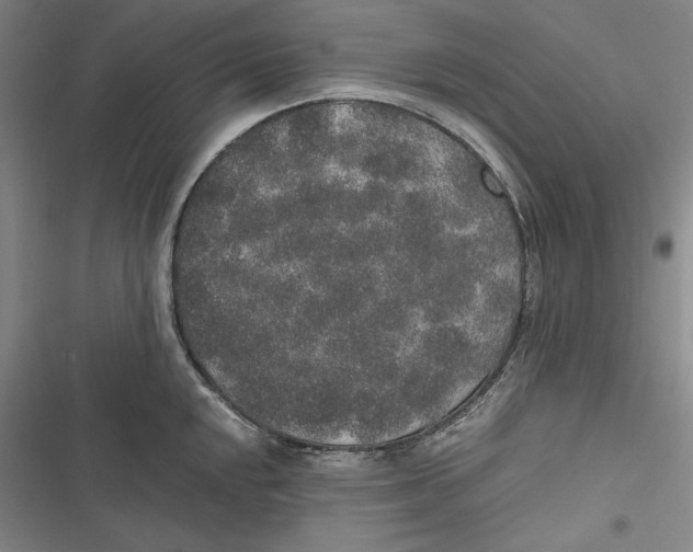 X0000116861048201001121237