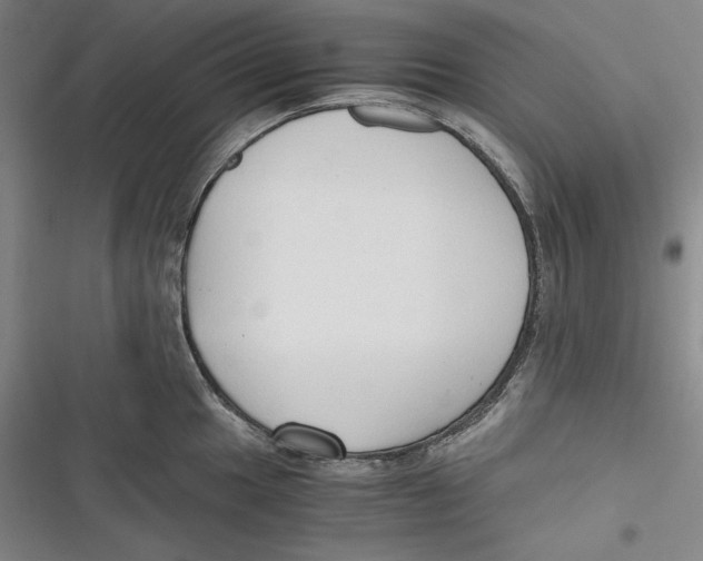 X0000116861049201001121237