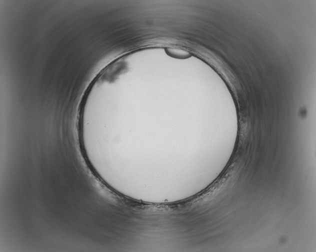 X0000116861050201001121237