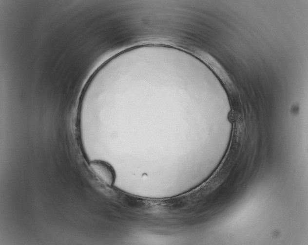 X0000116861052201001121237