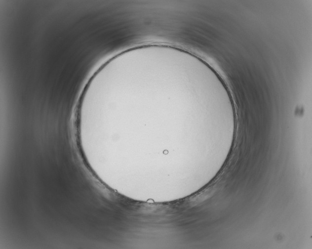 X0000116861056201001121237