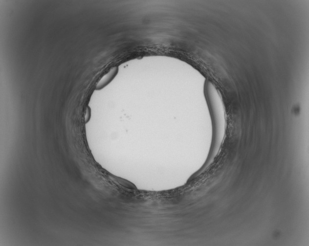 X0000116861057201001121236