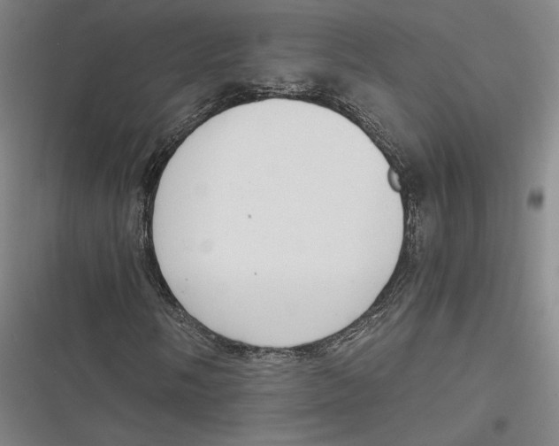 X0000116861058201001121236