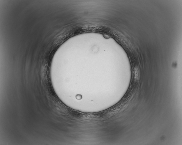 X0000116861059201001121236