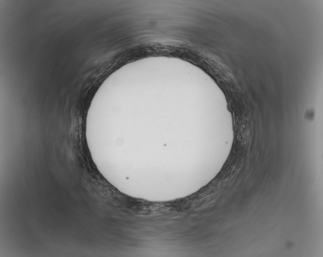 X0000116861061201001121236