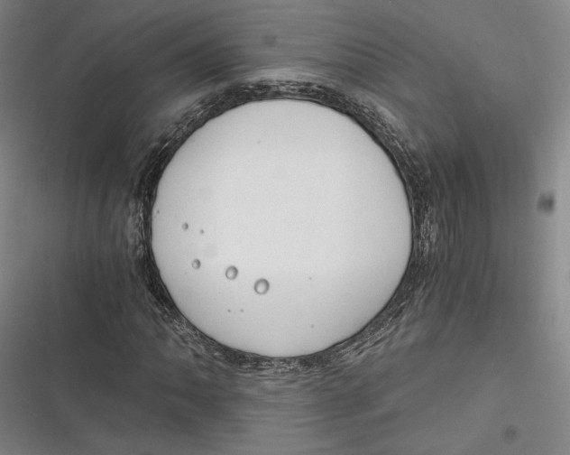 X0000116861062201001121236