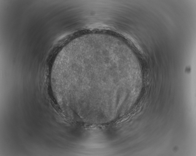 X0000116861063201001121236