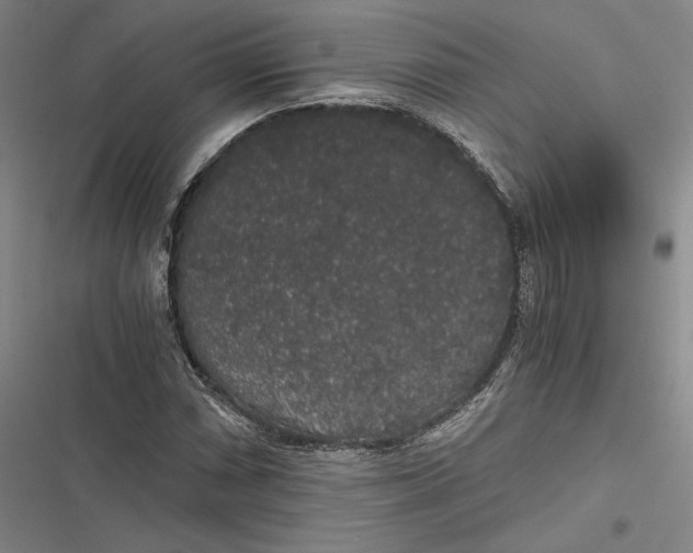 X0000116861066201001121236