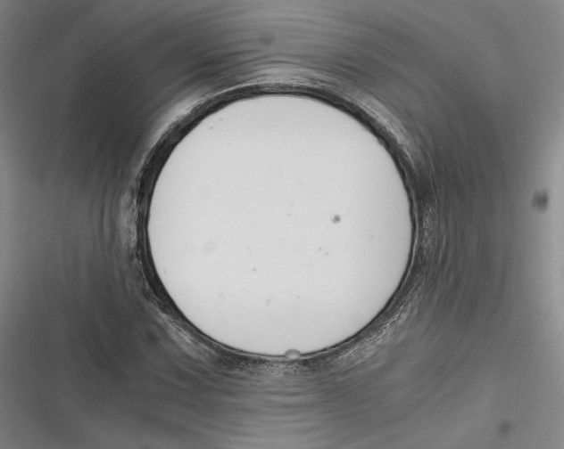 X0000116861067201001121236