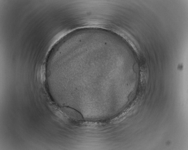 X0000116861069201001121236