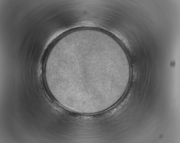 X0000116861070201001121236