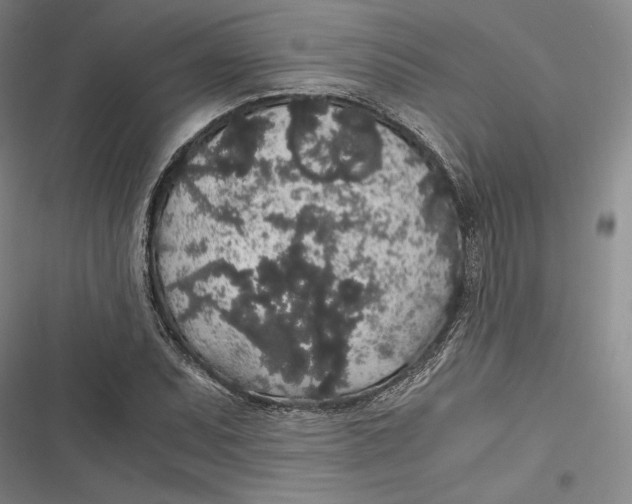 X0000116861071201001121236