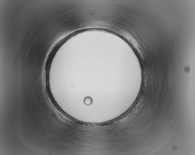 X0000116861072201001121236