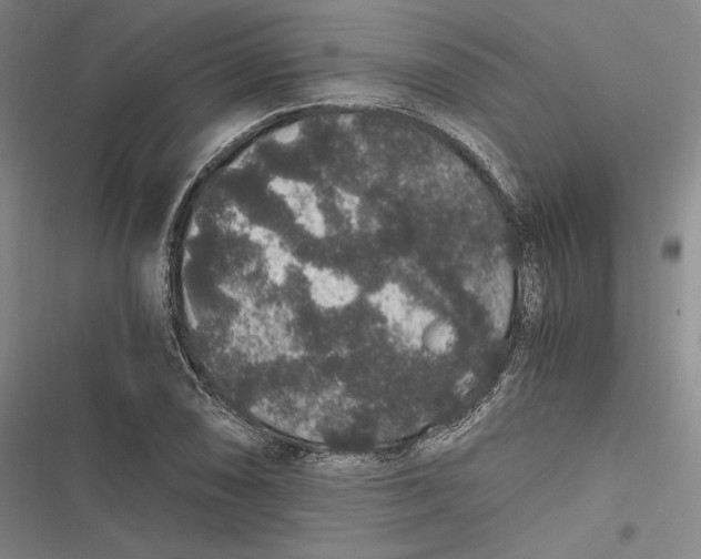 X0000116861074201001121236