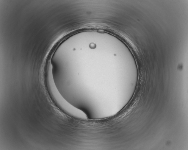 X0000116861075201001121236