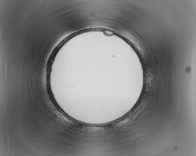 X0000116861076201001121236