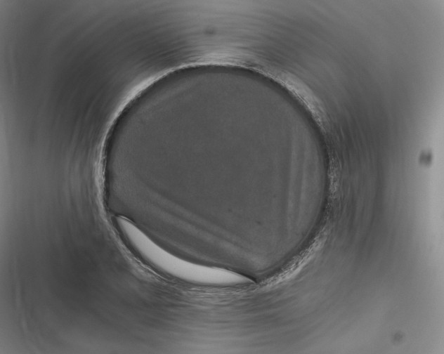 X0000116861077201001121236