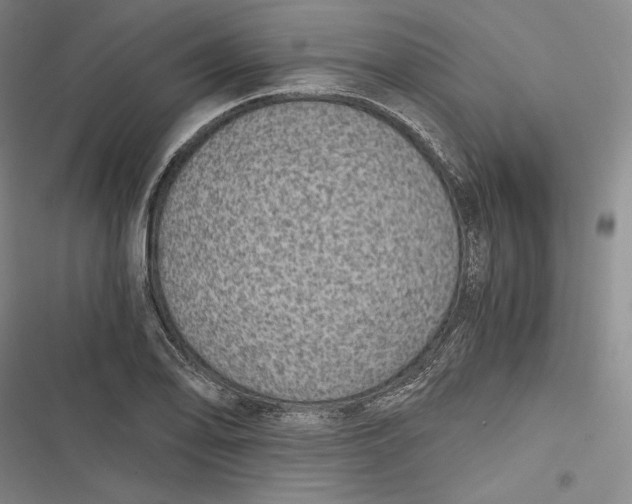 X0000116861078201001121236