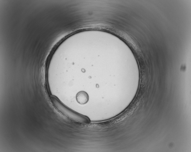 X0000116861079201001121236