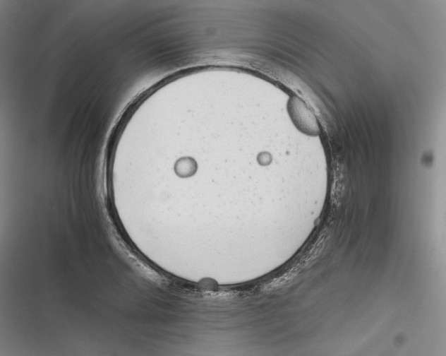 X0000116861080201001121236