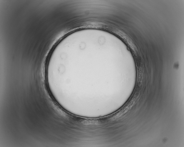 X0000116861083201001121236