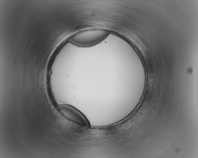 X0000116861085201001121236