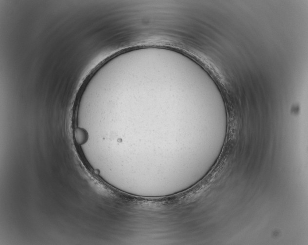 X0000116861086201001121236