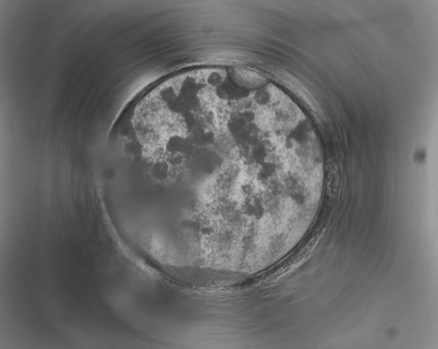 X0000116861087201001121236